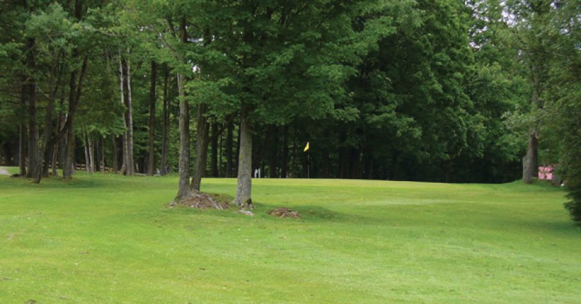 Golf Bury