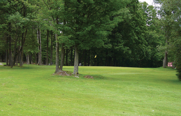 Golf Bury