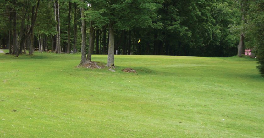 Golf Bury