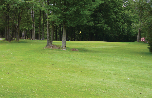 Golf Bury