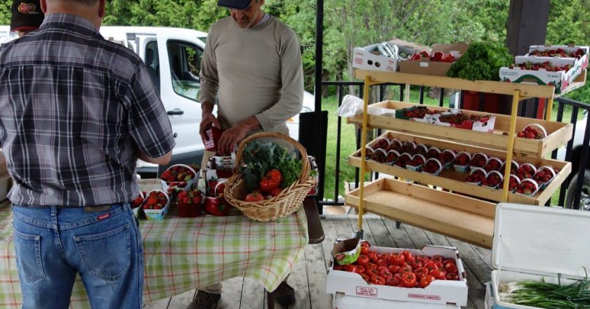Marché public Scotstown