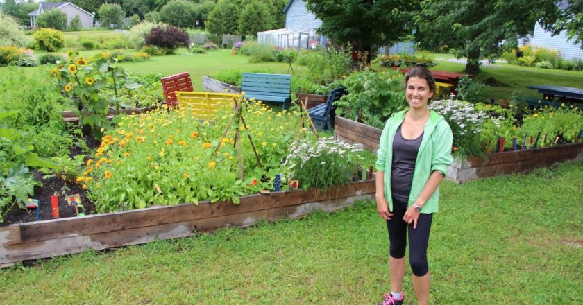 Jardins collectif Dudswell