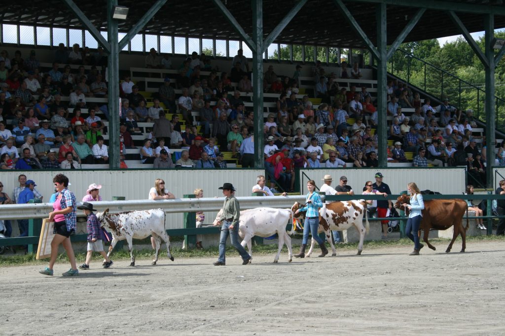 Parade