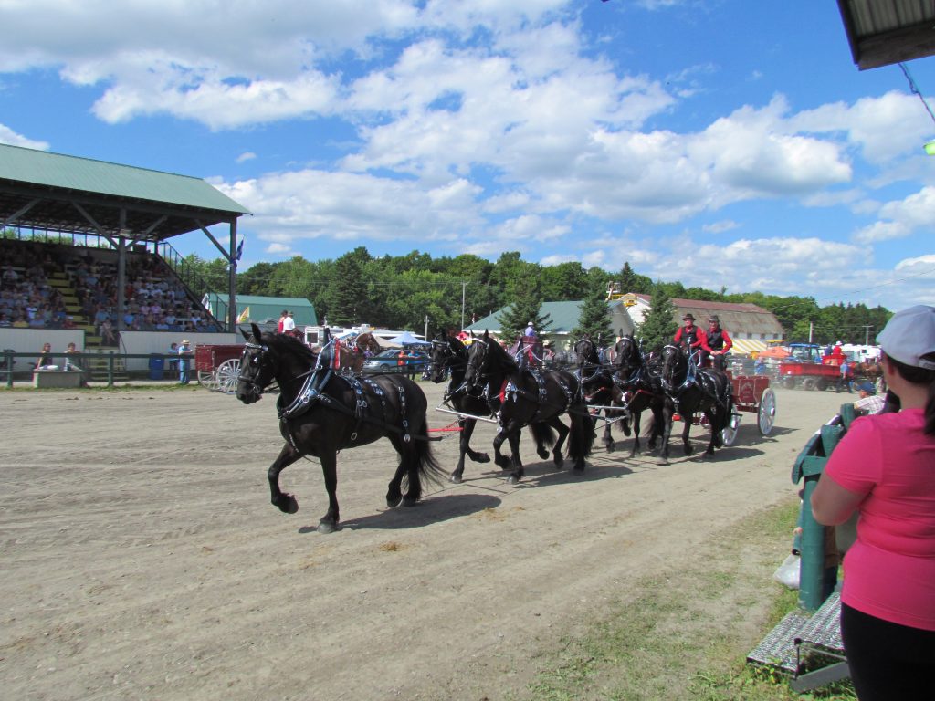 parade chevaux