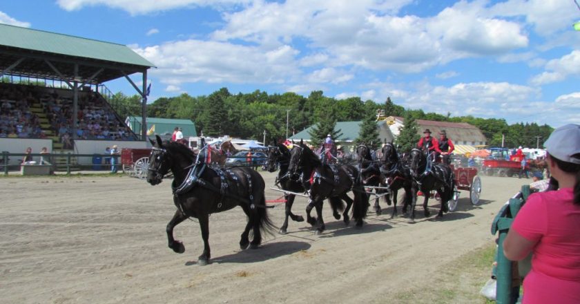 parade chevaux