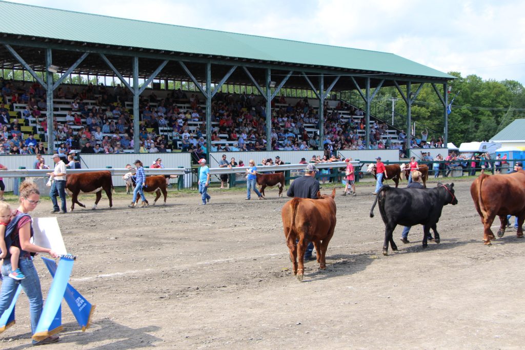 Expo agricole