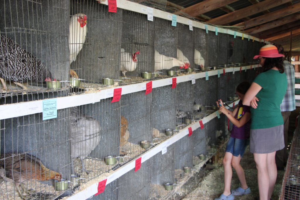 Exposition agricole de Cookshire