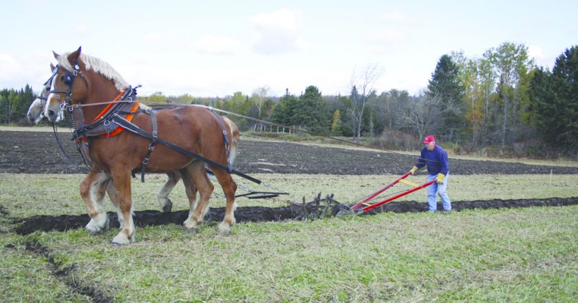 Concours de labours