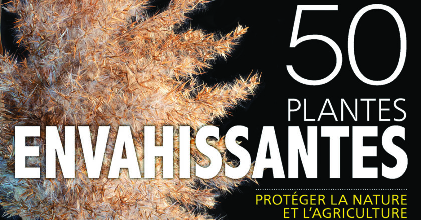 50 plantes envahissantes