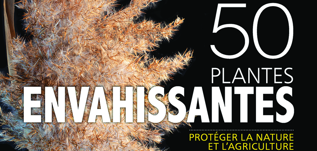 50 plantes envahissantes