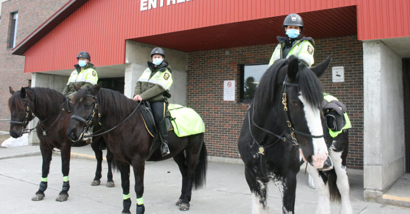 L'Équipe équestre de la SQ à East Angus