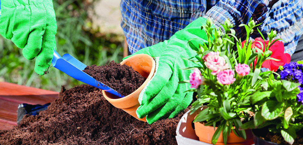 Terreau ou terre à jardin ?