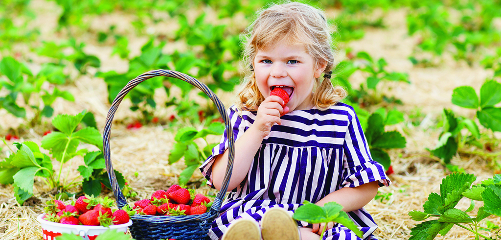 AUTOCUEILLETTE-de-petits-fruits