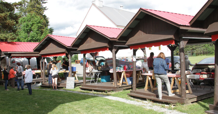 Marché public de Lingwick