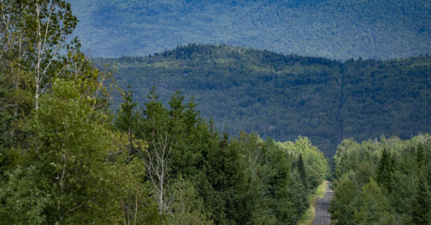 Vélo de montagne à Chartierville