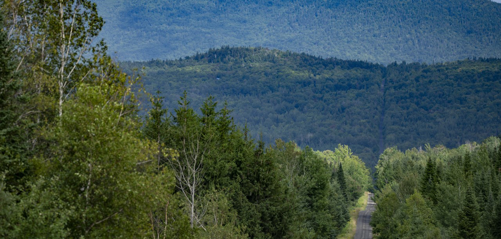 Vélo de montagne à Chartierville