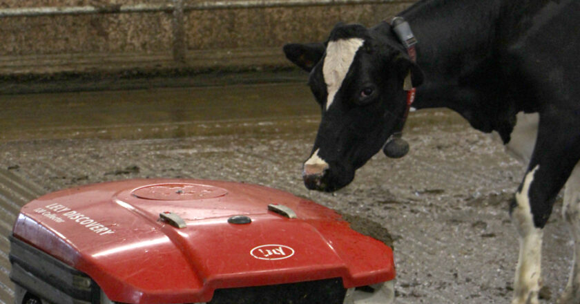 agrandissement de ferme