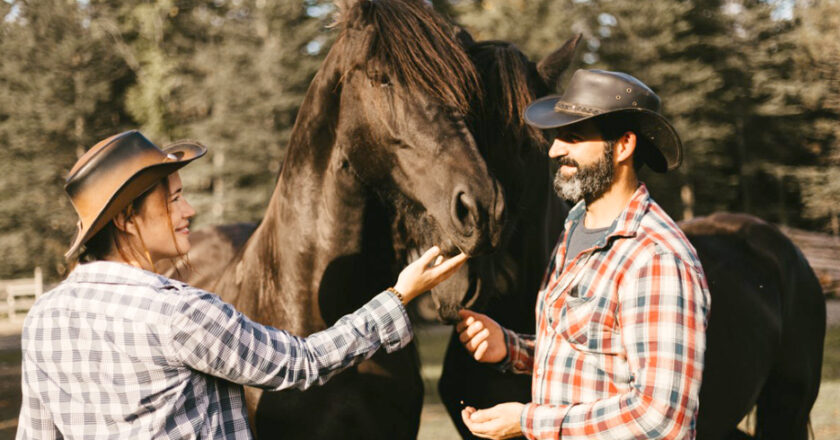 Ranch Fer à cheval