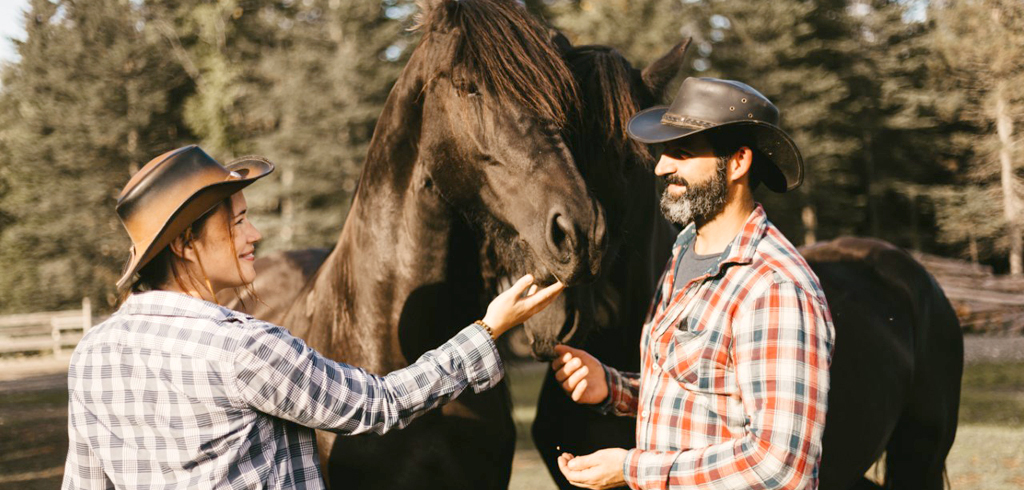Ranch Fer à cheval