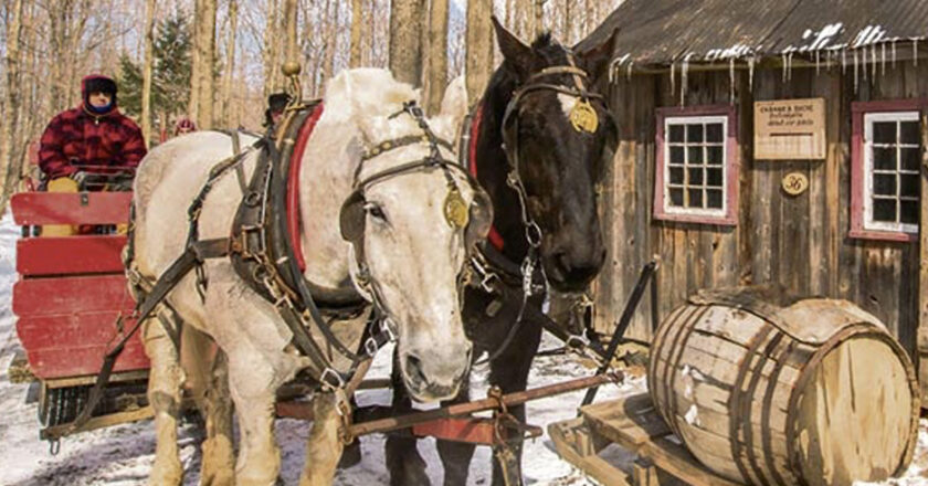 Cabane a sucre traditionnel