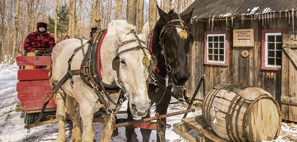 Cabane a sucre traditionnel