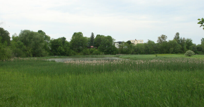 Milieu Humide