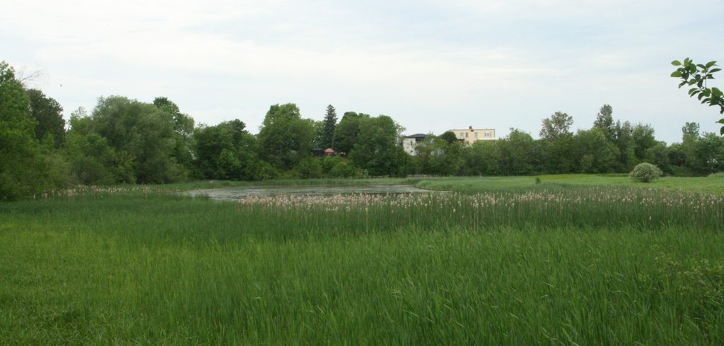 Milieu Humide