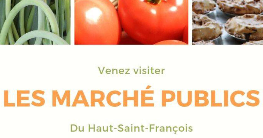 Marchés publics
