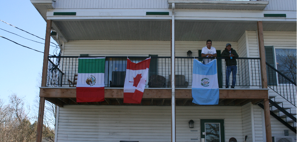 mexicain francais