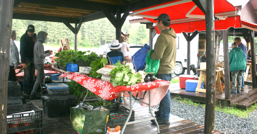 Marché public de Lingwick