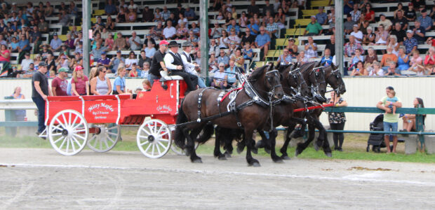 anglais Expo Cookshire