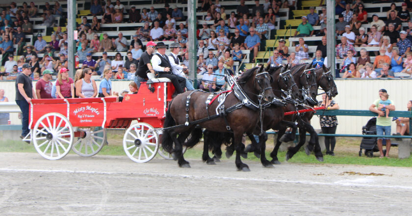 anglais Expo Cookshire