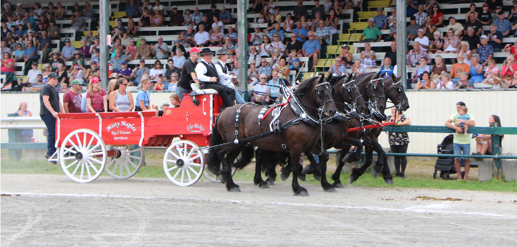 anglais Expo Cookshire