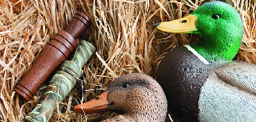 Chasse