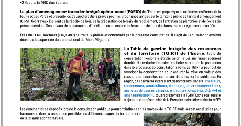 Forêt publiques de l'Estrie