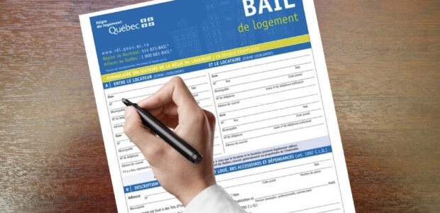Bail