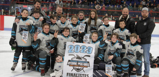 Tournoi hockey atome peewee