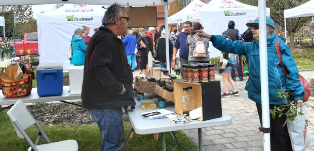Marché de Dudswell