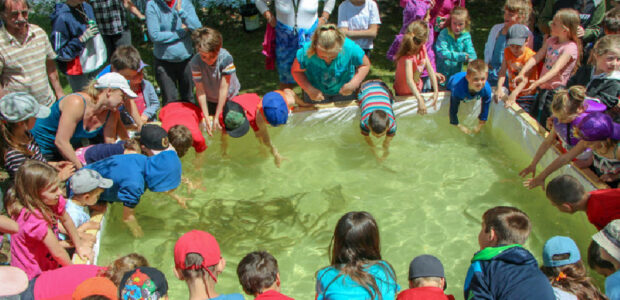 fete-peche-Dudswell
