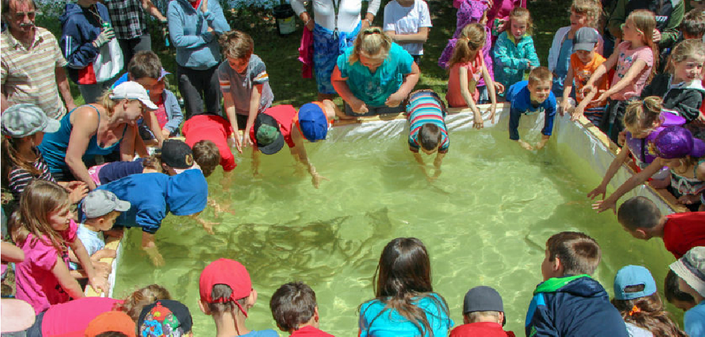 fete-peche-Dudswell