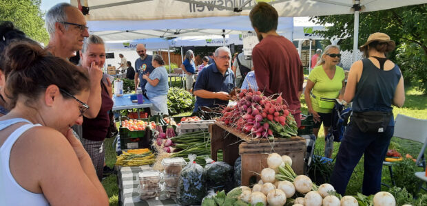 marche public dudswell