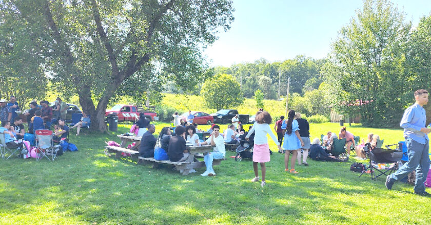 Picnic
