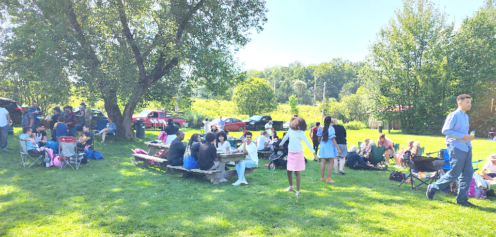 Picnic