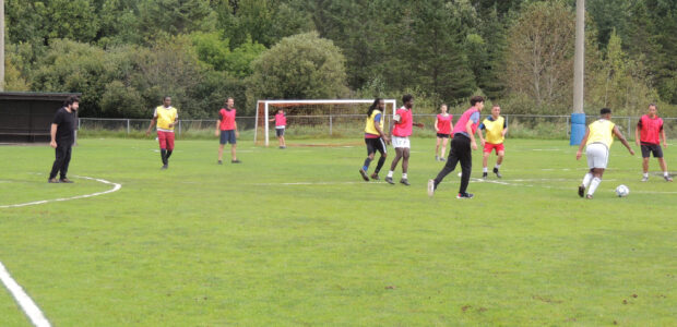 Mondial Soccer
