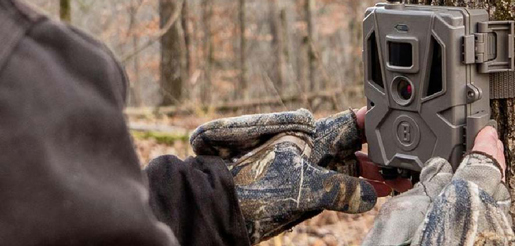 camera chasse