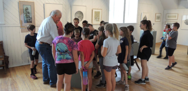 ActiviteScolaire-GalerieDartCookshire