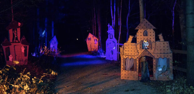 Halloween dans le HSF