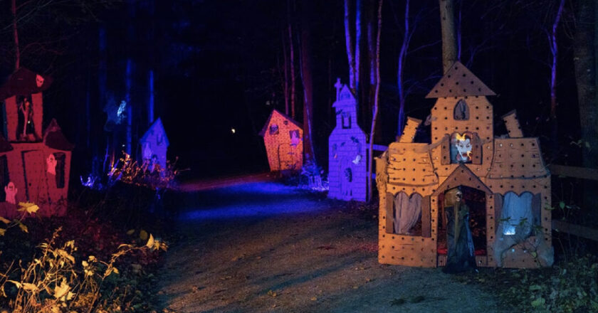Halloween dans le HSF