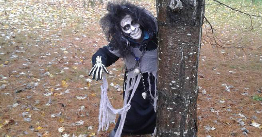 FORET HANTÉ DE FREDDY