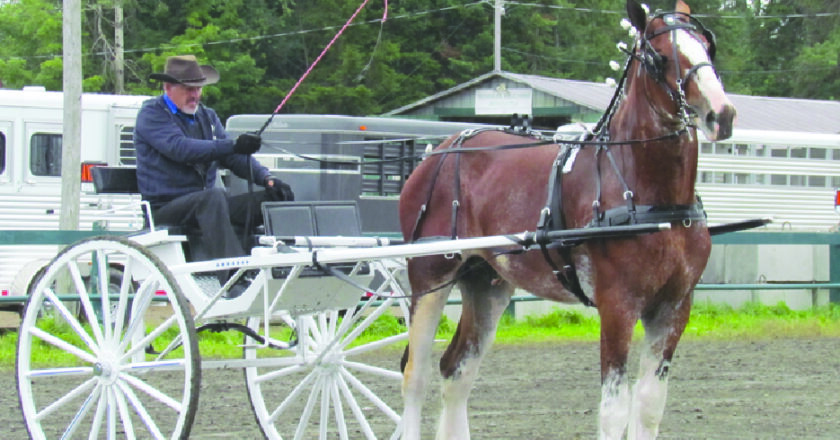 Expo Cookshire